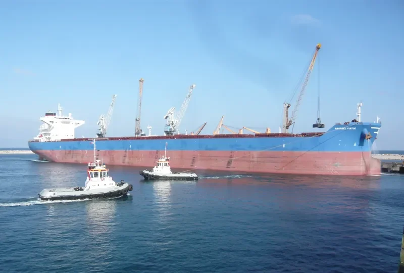 ANANGEL VIRTUE Bulk Carrier IMO 9440332 photo 5