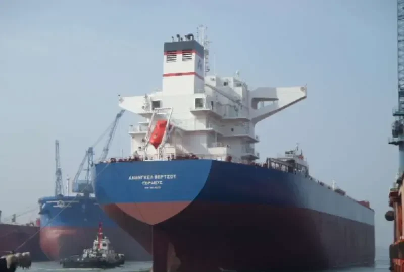 ANANGEL VIRTUE Bulk Carrier IMO 9440332 photo 6