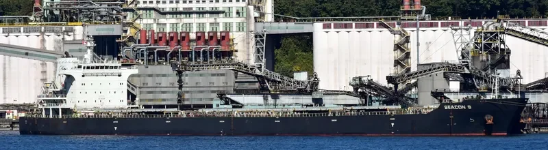 SEACON 9 Bulk Carrier IMO 9440394