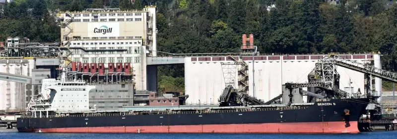 SEACON 9 Bulk Carrier IMO 9440394 photo 2