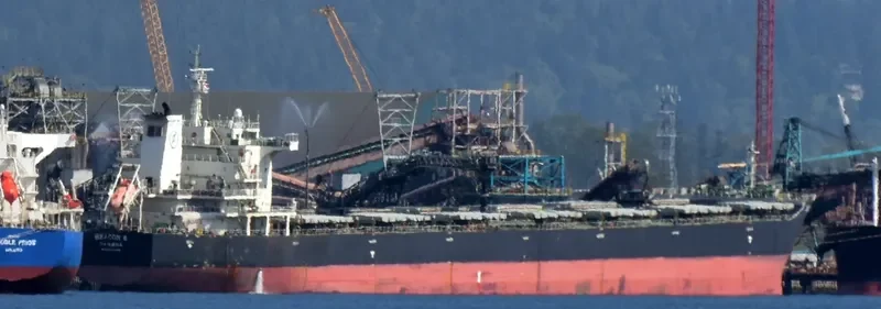 SEACON 9 Bulk Carrier IMO 9440394 photo 3