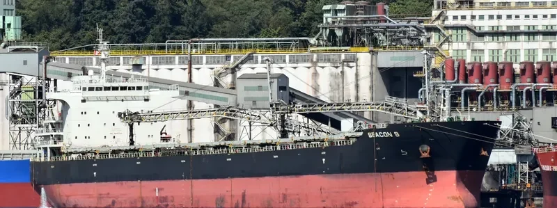 SEACON 9 Bulk Carrier IMO 9440394 photo 5