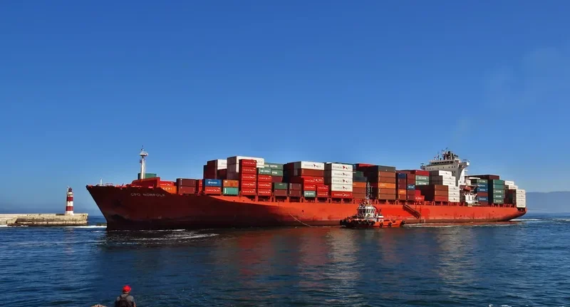 NORFOLK Container Ship IMO 9440813