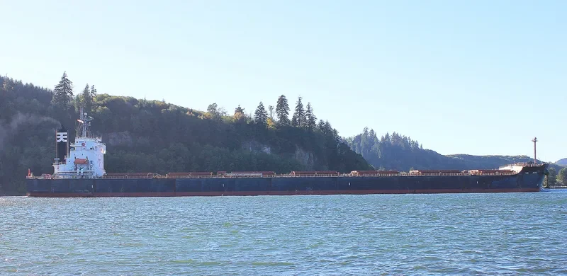 STAR LUNA Bulk Carrier IMO 9440849 photo 3