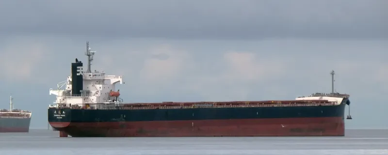 STAR LUNA Bulk Carrier IMO 9440849 photo 8