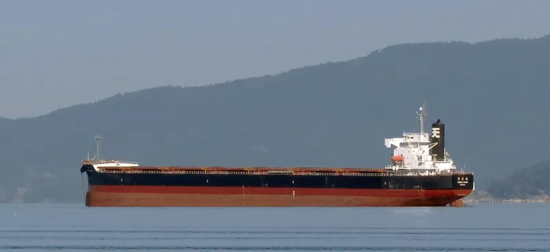 STAR LUNA Bulk Carrier IMO 9440849 photo 9