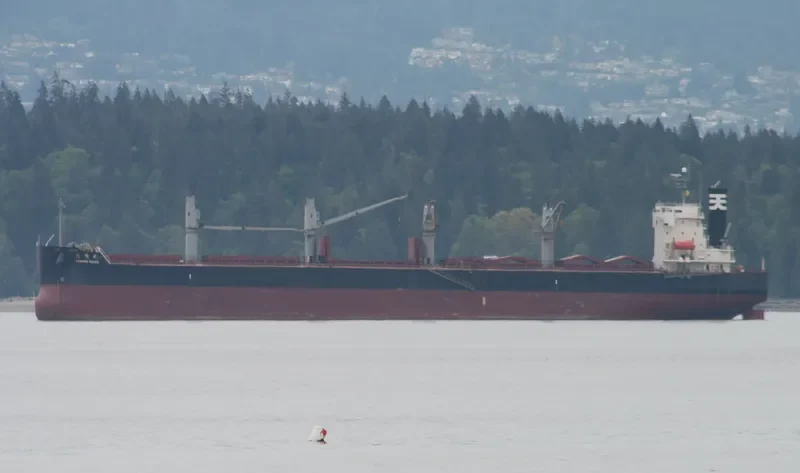 BULK PRIDE Bulk Carrier IMO 9440916 photo 6