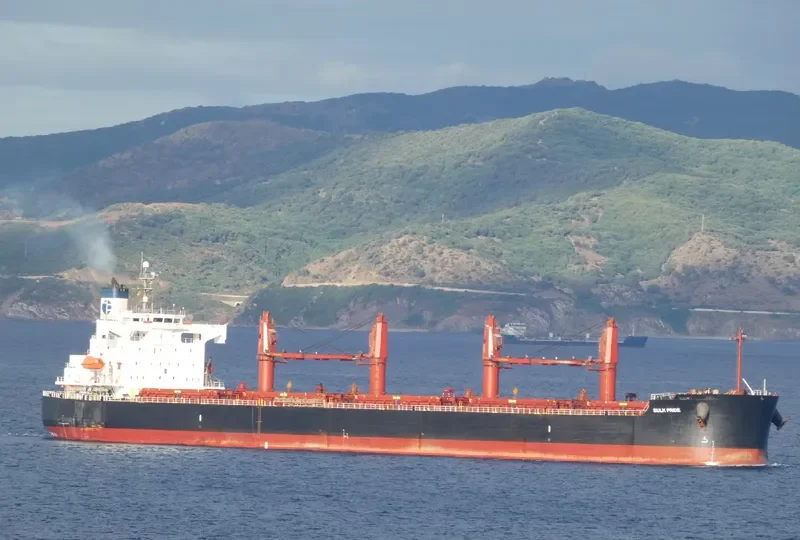 BULK PRIDE Bulk Carrier IMO 9440916 photo 7