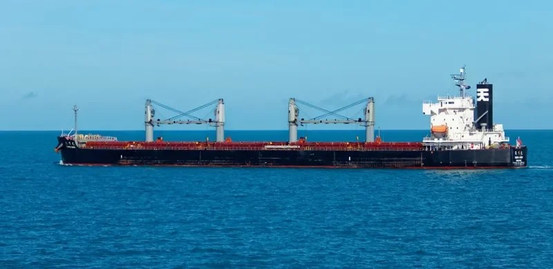BULK PRIDE Bulk Carrier IMO 9440916 photo 8