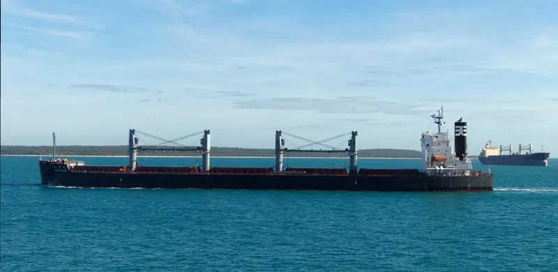 BULK PRIDE Bulk Carrier IMO 9440916 photo 9