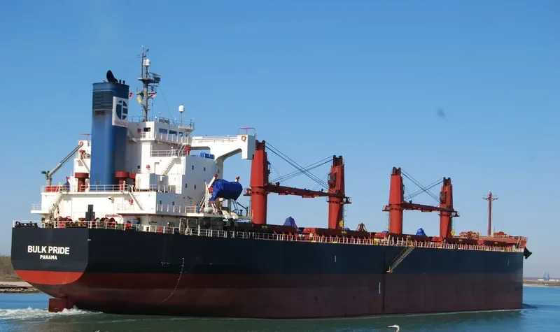 BULK PRIDE Bulk Carrier IMO 9440916 photo 10