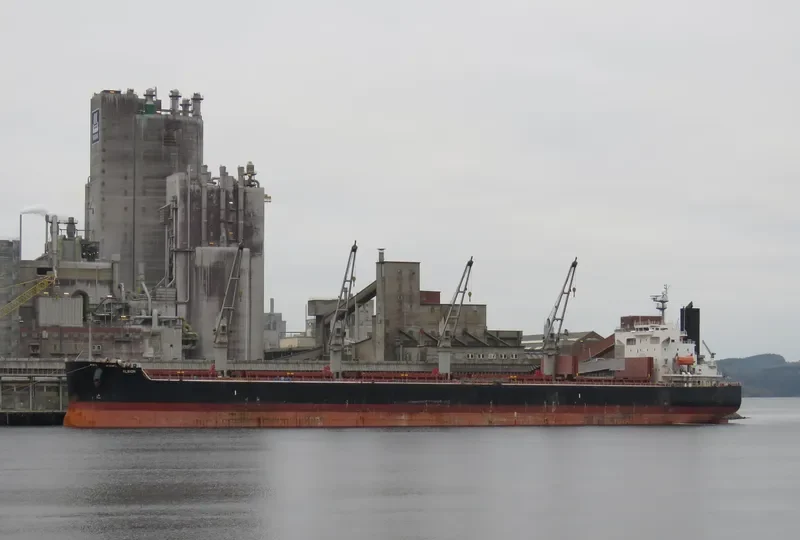 THOR CALIBER Bulk Carrier IMO 9440928 photo 5