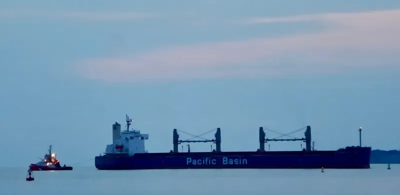 PAQUETA ISLAND Bulk Carrier IMO 9440930 photo 7