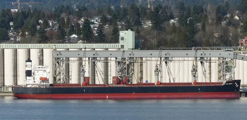 PAQUETA ISLAND Bulk Carrier IMO 9440930 photo 10
