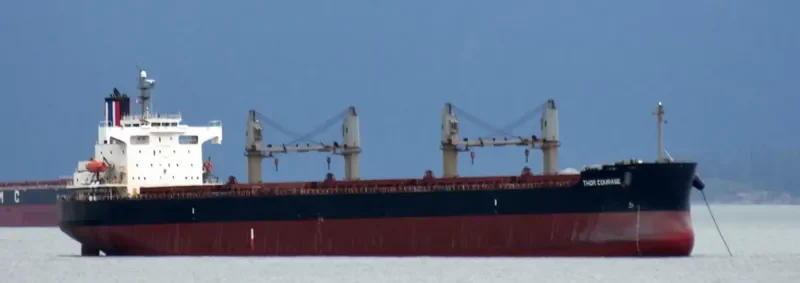 THOR COURAGE Bulk Carrier IMO 9440978 photo 2