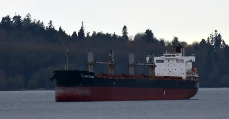 THOR COURAGE Bulk Carrier IMO 9440978 photo 3