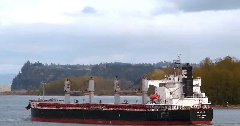 THOR COURAGE Bulk Carrier IMO 9440978 photo 6