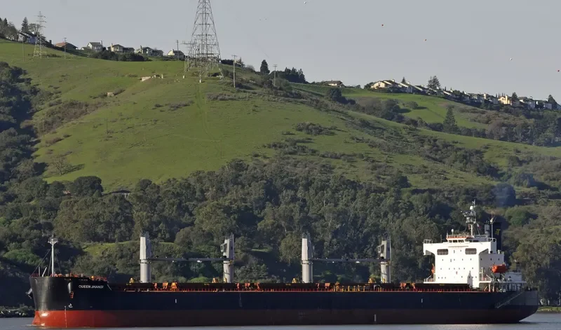 SHINE FOREVER Bulk Carrier IMO 9440980 photo 3