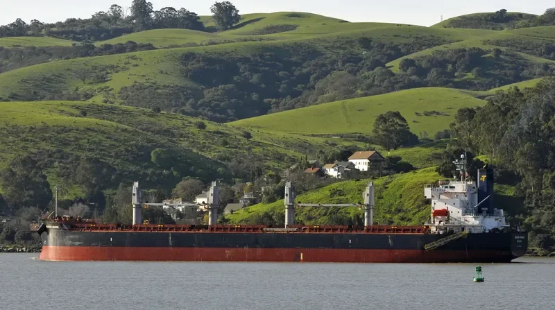 SHINE FOREVER Bulk Carrier IMO 9440980 photo 4