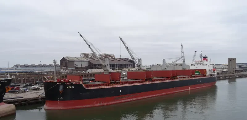 SHINE FOREVER Bulk Carrier IMO 9440980 photo 7