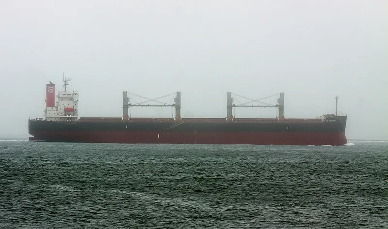 SHINE FOREVER Bulk Carrier IMO 9440980 photo 9