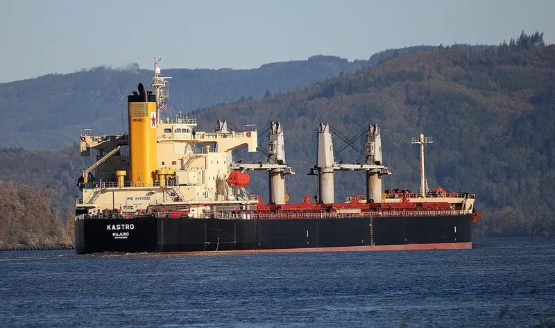 G TAISHAN Bulk Carrier IMO 9440992