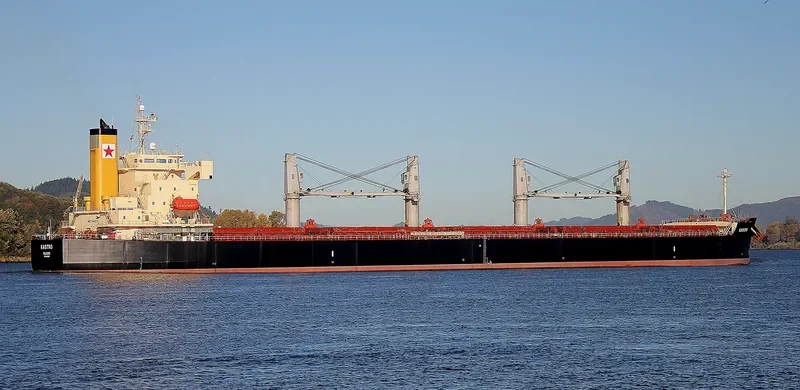 G TAISHAN Bulk Carrier IMO 9440992 photo 2