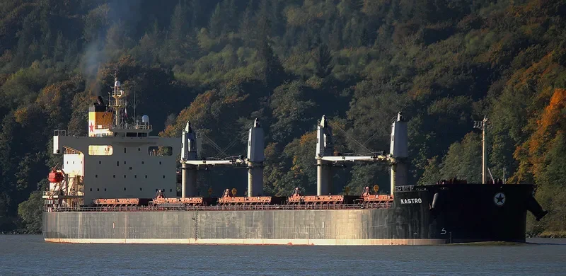 G TAISHAN Bulk Carrier IMO 9440992 photo 4