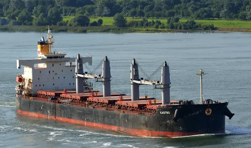 G TAISHAN Bulk Carrier IMO 9440992 photo 5