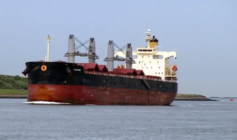 G TAISHAN Bulk Carrier IMO 9440992 photo 10