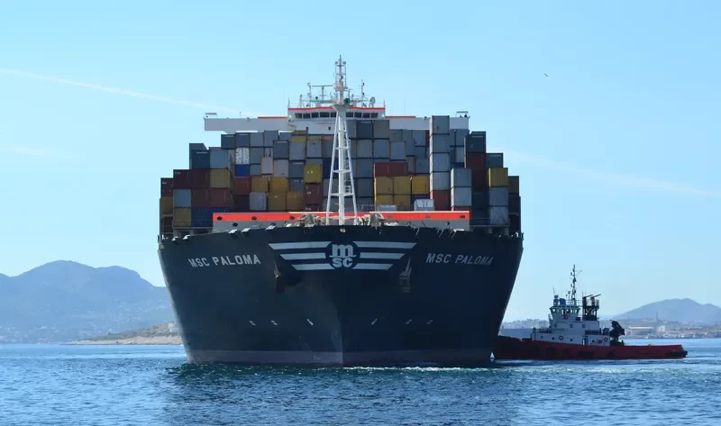 MSC PALOMA Container Ship IMO 9441001 photo 5