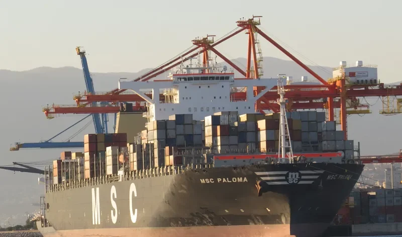 MSC PALOMA Container Ship IMO 9441001 photo 7