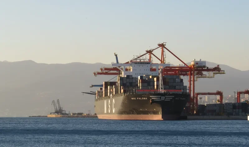 MSC PALOMA Container Ship IMO 9441001 photo 8