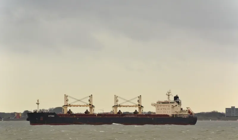 BITTERN Bulk Carrier IMO 9441269