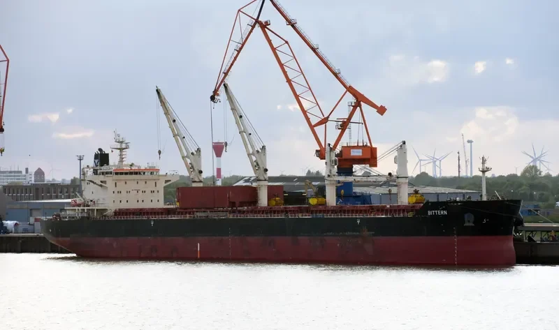 BITTERN Bulk Carrier IMO 9441269 photo 2