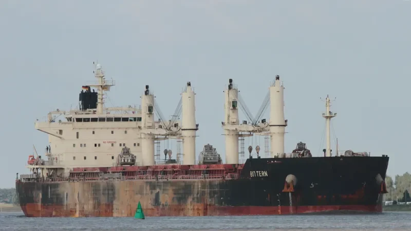 BITTERN Bulk Carrier IMO 9441269 photo 5