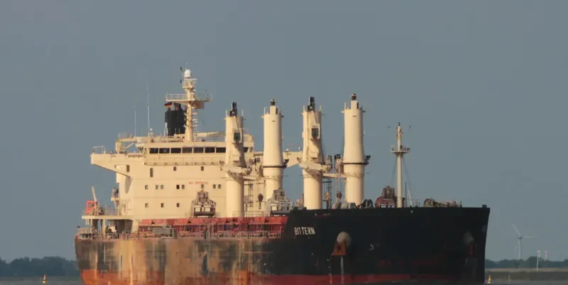 BITTERN Bulk Carrier IMO 9441269 photo 6