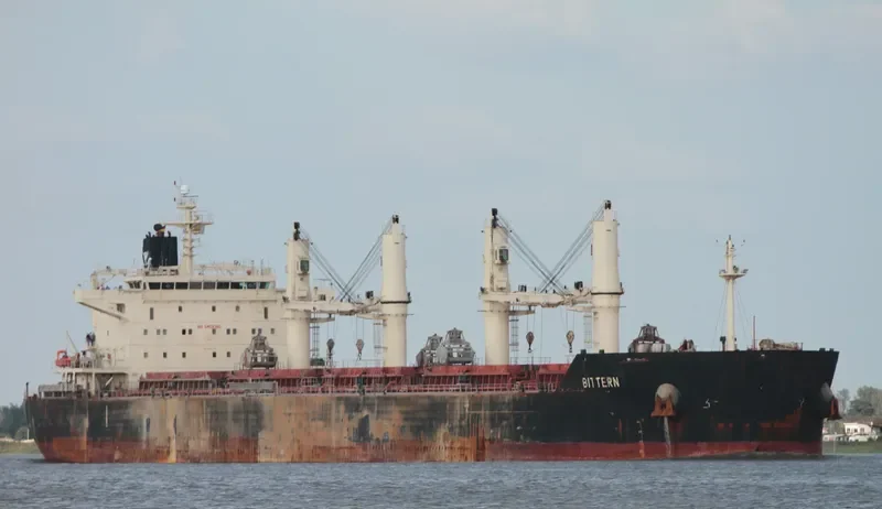 BITTERN Bulk Carrier IMO 9441269 photo 7