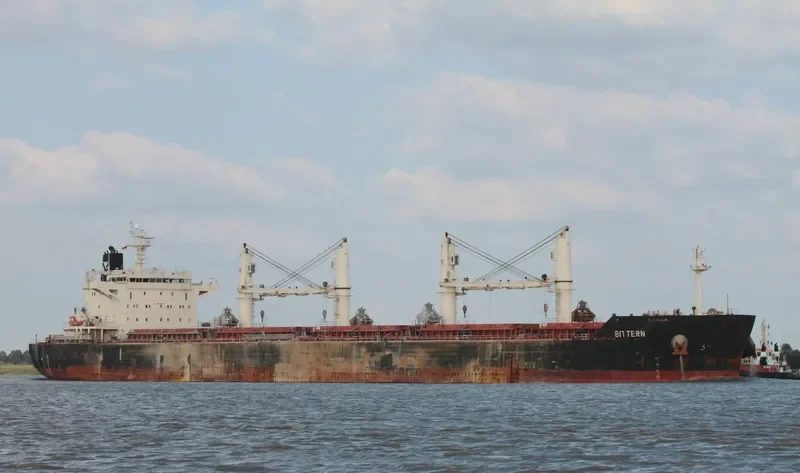 BITTERN Bulk Carrier IMO 9441269 photo 8