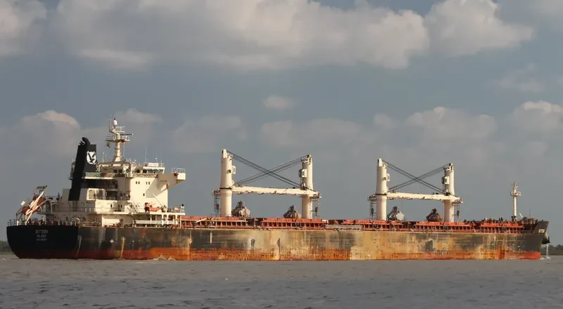 BITTERN Bulk Carrier IMO 9441269 photo 9