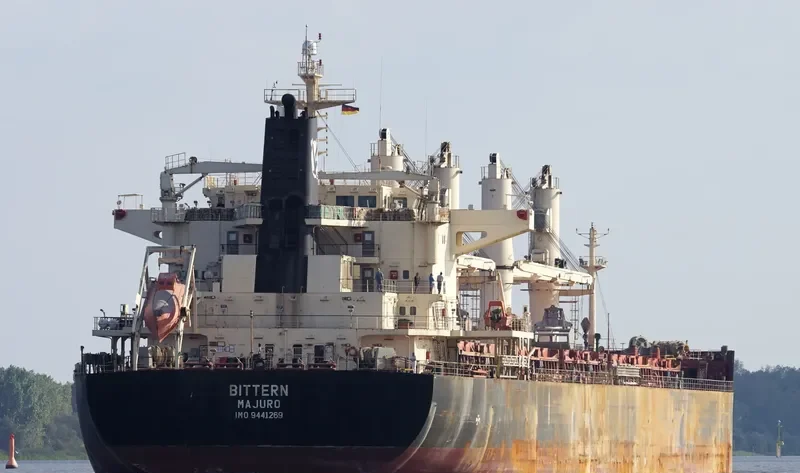 BITTERN Bulk Carrier IMO 9441269 photo 10