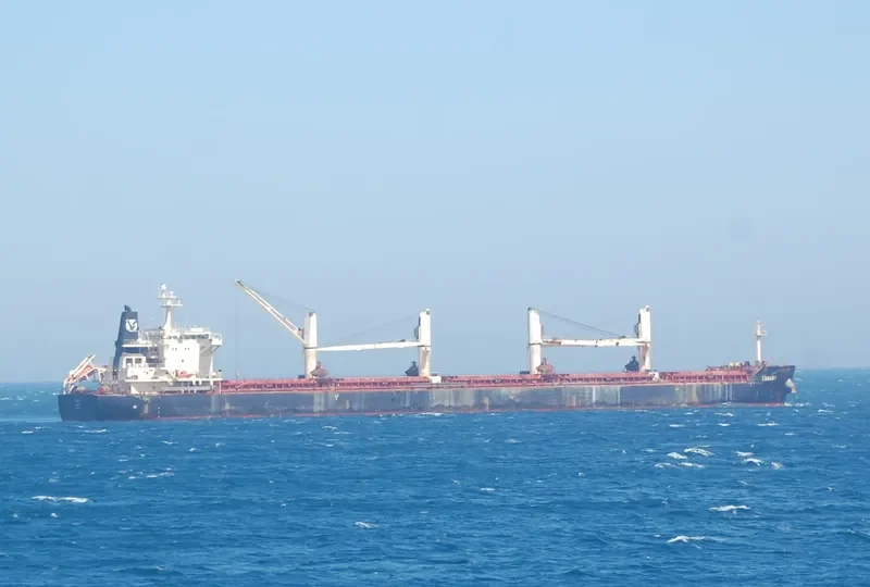 CANARY Bulk Carrier IMO 9441271 photo 2