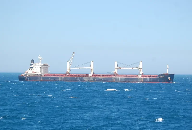 CANARY Bulk Carrier IMO 9441271 photo 3