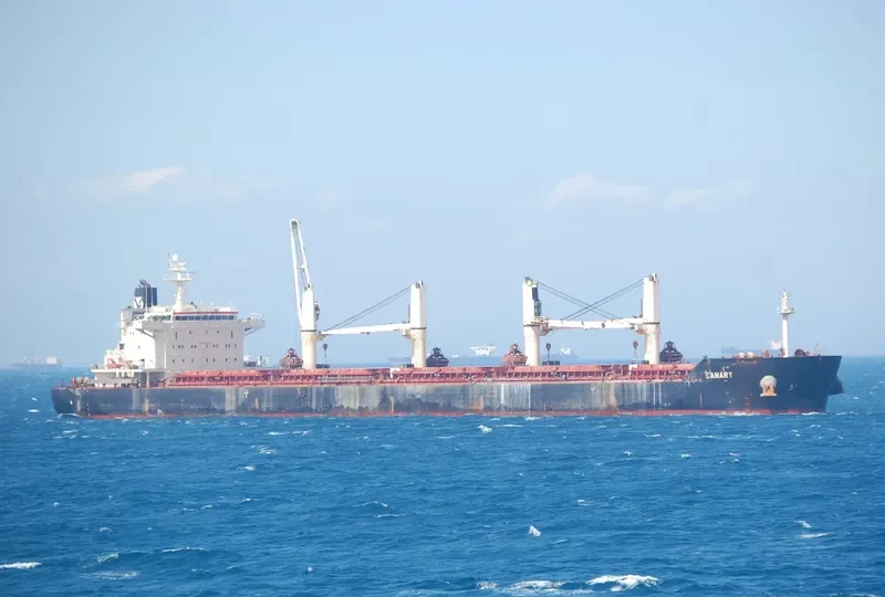 CANARY Bulk Carrier IMO 9441271 photo 4