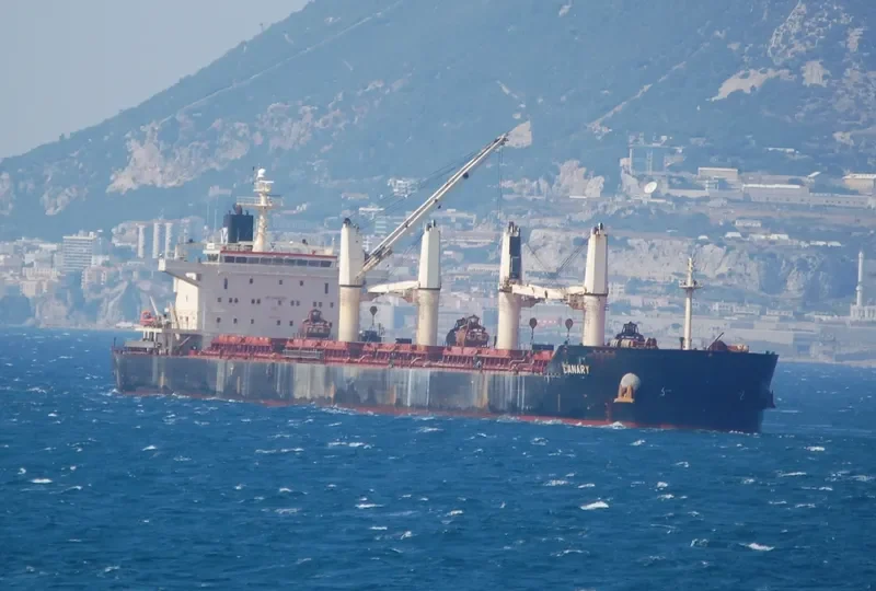 CANARY Bulk Carrier IMO 9441271 photo 5