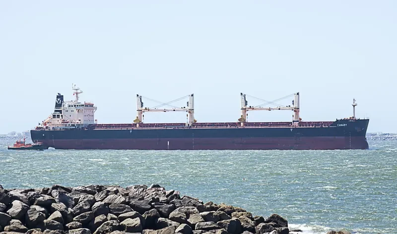 CANARY Bulk Carrier IMO 9441271 photo 6