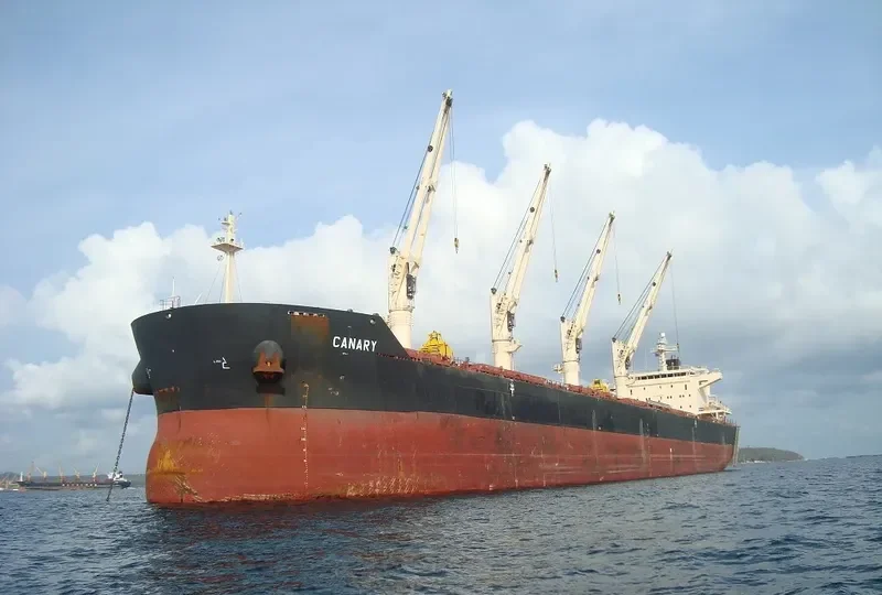 CANARY Bulk Carrier IMO 9441271 photo 7
