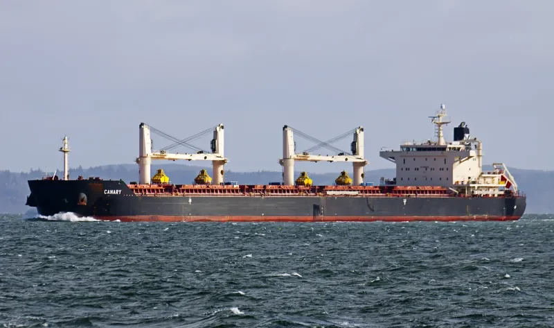 CANARY Bulk Carrier IMO 9441271 photo 8