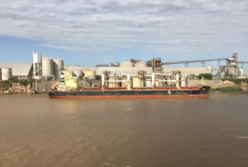 CRANE Bulk Carrier IMO 9441283