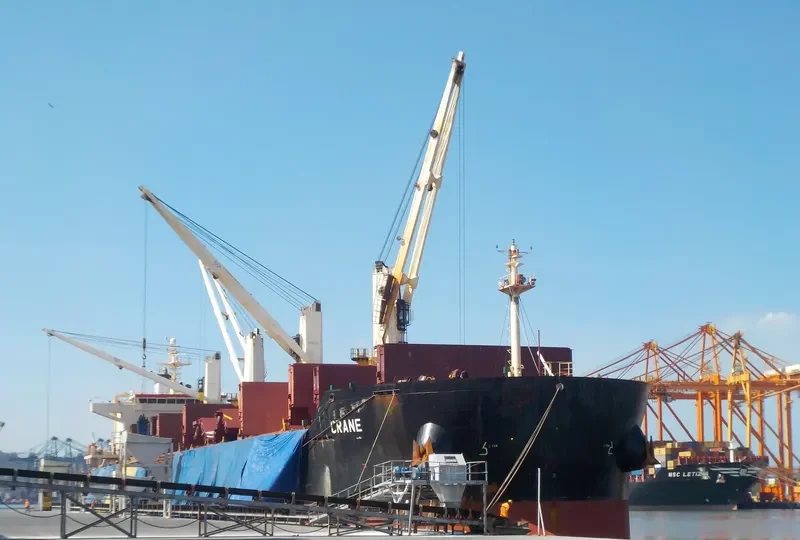 CRANE Bulk Carrier IMO 9441283 photo 2